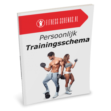 Persoonlijk trainingsschema op maat (sportschool)